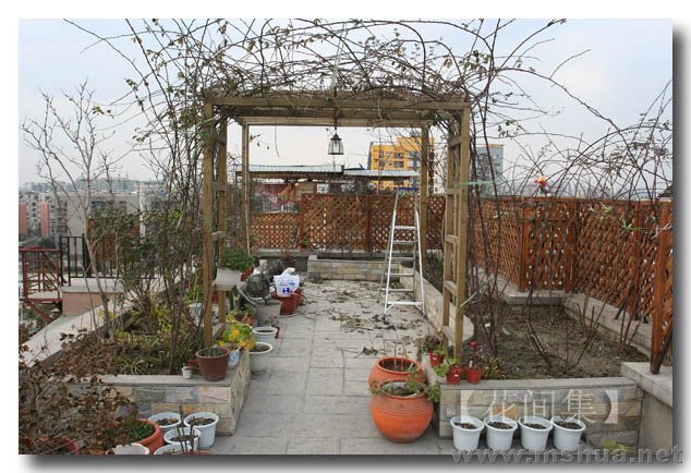 IMG_3155 ����.jpg