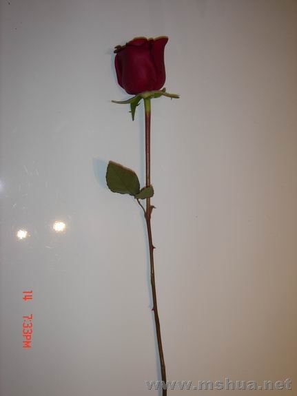 ������С ��ת DSC02359.JPG