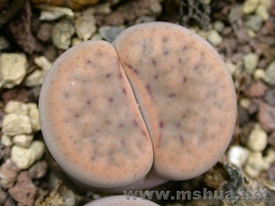 �и��� (2).jpg