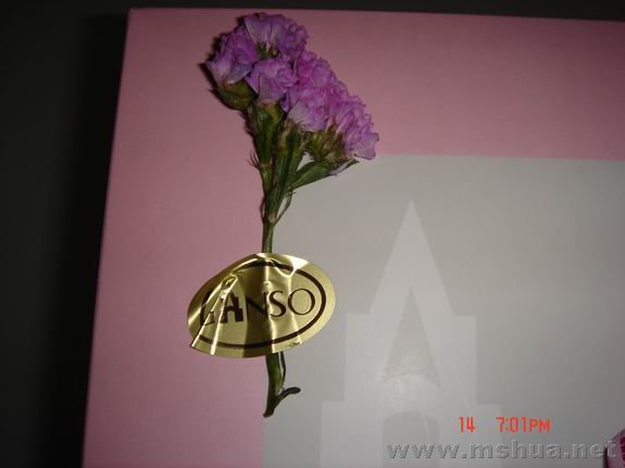 ������С DSC02351.JPG