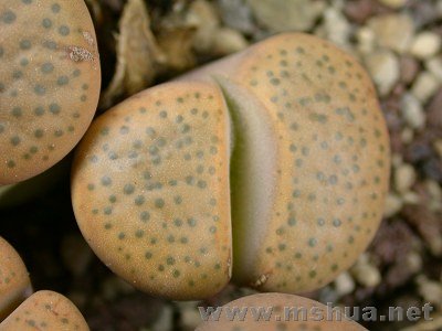 ΢���� (2).jpg