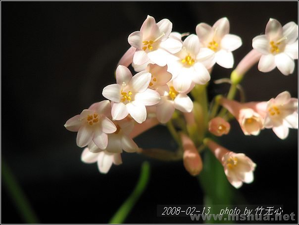 20080213_8fa2a9a1acae587eec9c1ENfcWweKaO9.jpg