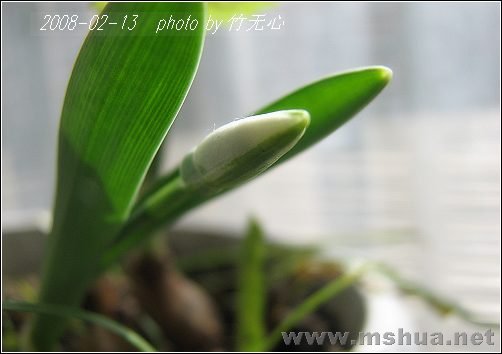 20080213_9d0a2e1b1721c1503399QyrOtvMWl1X3.jpg