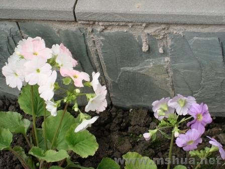 ��˵�ļ������Ƕ�������