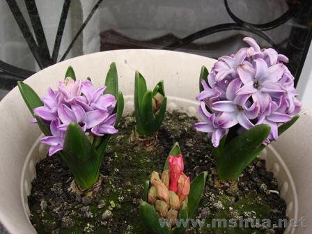 �������²�̫�󣬼м��ˡ���Ȼ���ڽ��������⴦�������ǲ�����