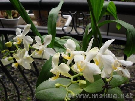 ���԰ɣ�����Ҳ�������