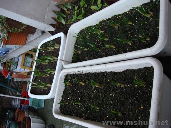 ��һ�ż���ģ�����һ��������������ס�˵��䣬�Ͳ��ʹ�Ҽ�����