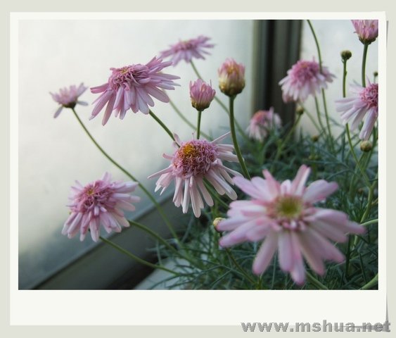 ������С �������2_nEO_IMG.jpg