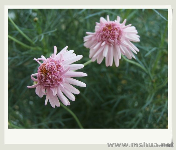 ������С �������3_nEO_IMG.jpg