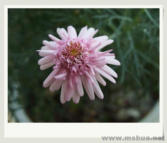 ������С �������6_nEO_IMG.jpg