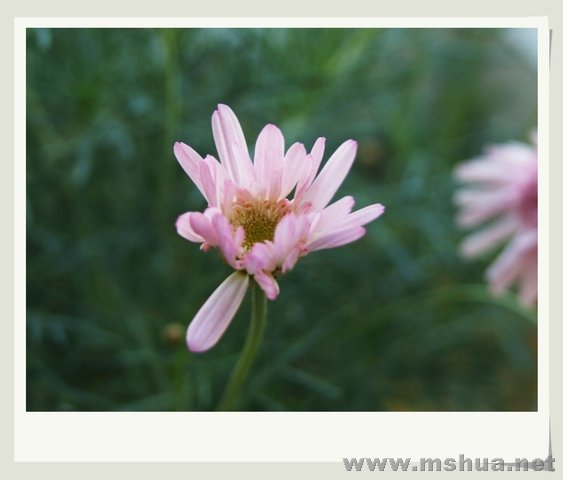 ������С �������8_nEO_IMG.jpg