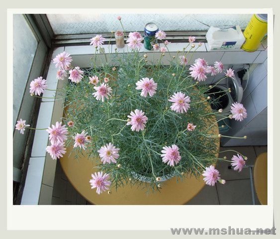 ������С �������_nEO_IMG.jpg