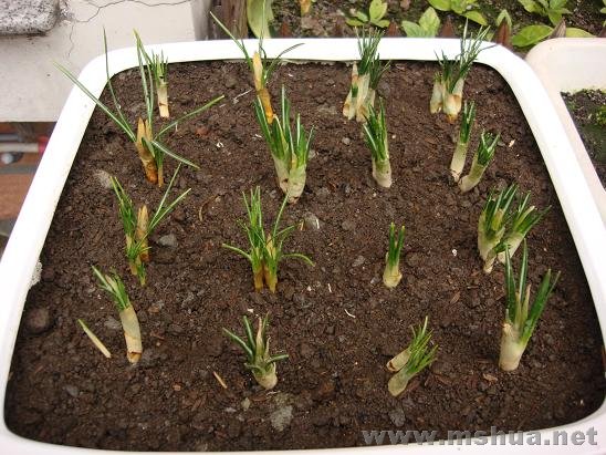 ����һ���������