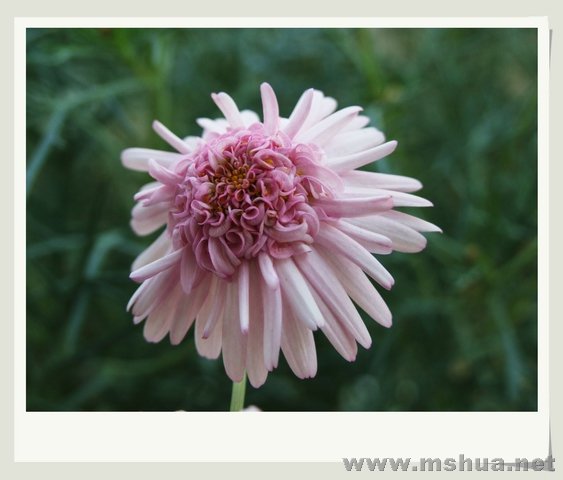 ������С �������9_nEO_IMG.jpg