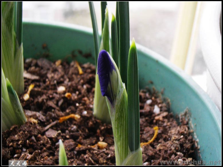 ��һ��Ҳ���˻���