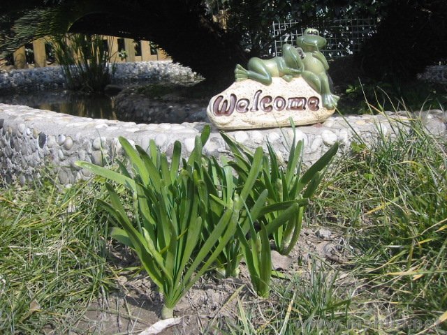 ��رߵ�����ˮ��