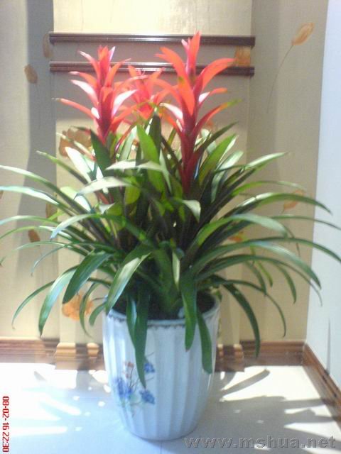 ������С ��ת DSC00631.JPG