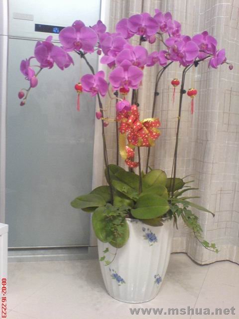 ������С ��ת DSC00628.JPG