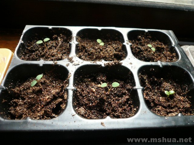 5��©���ˣ�����һ���²ŷ�ѿ��һ�ý�����