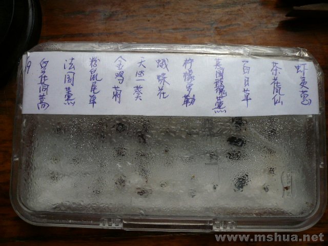 ż�����Լ��в���ǿ��֢