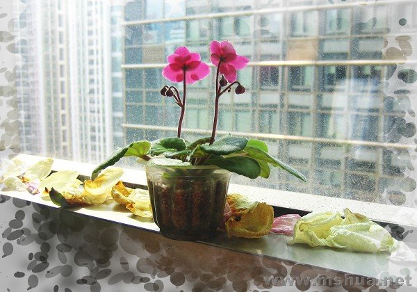 �ϰ��һ�죬�Ϳ����ڴ�̨����������С������