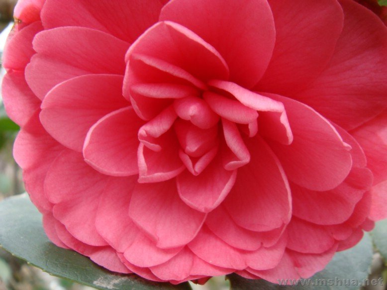 DSC00675.JPG