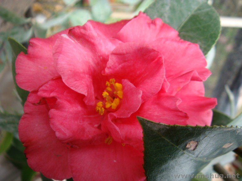 DSC00678.JPG
