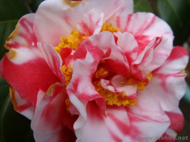 DSC00656.JPG
