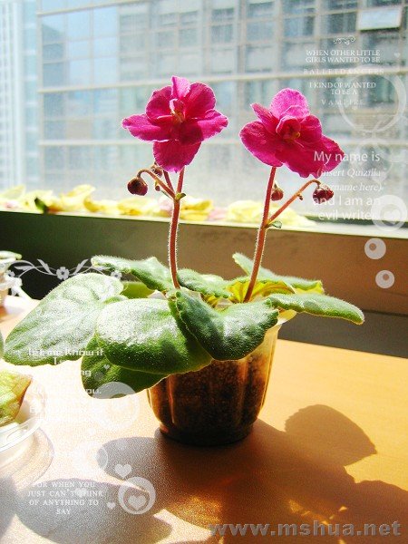 ��ͬ������Ϊ�������ˡ�