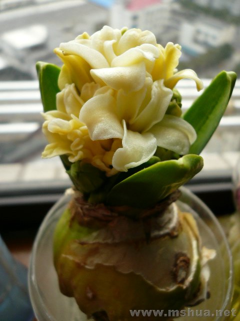 ������һ���������