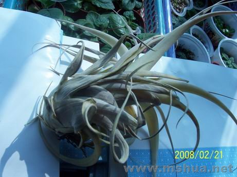 100_4421.JPG