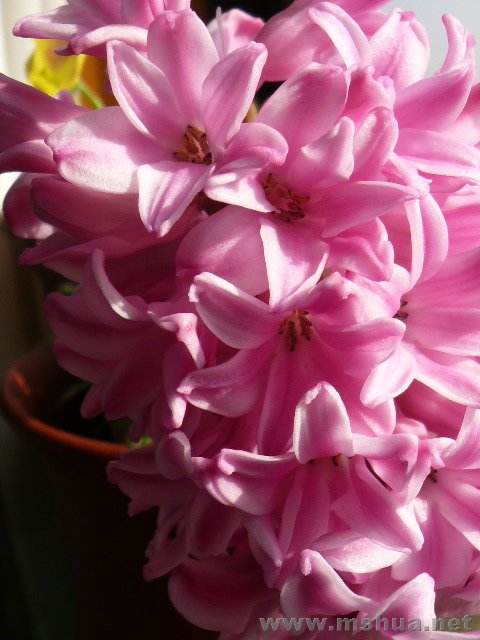 ����˵�����ͼ���