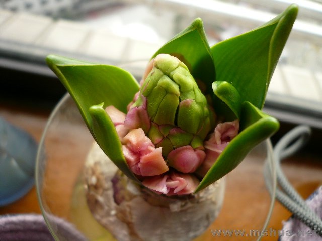 ����������ˣ����ش��Ⱑ