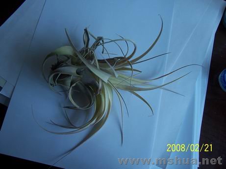 100_4422.JPG