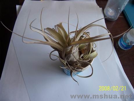 100_4423.JPG