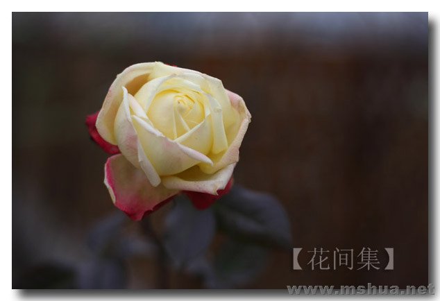 IMG_3710 ����.jpg