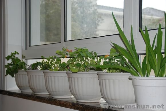 �鷿��̨�ϵĻ�