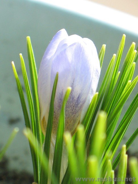 ̫��������Ҫ����