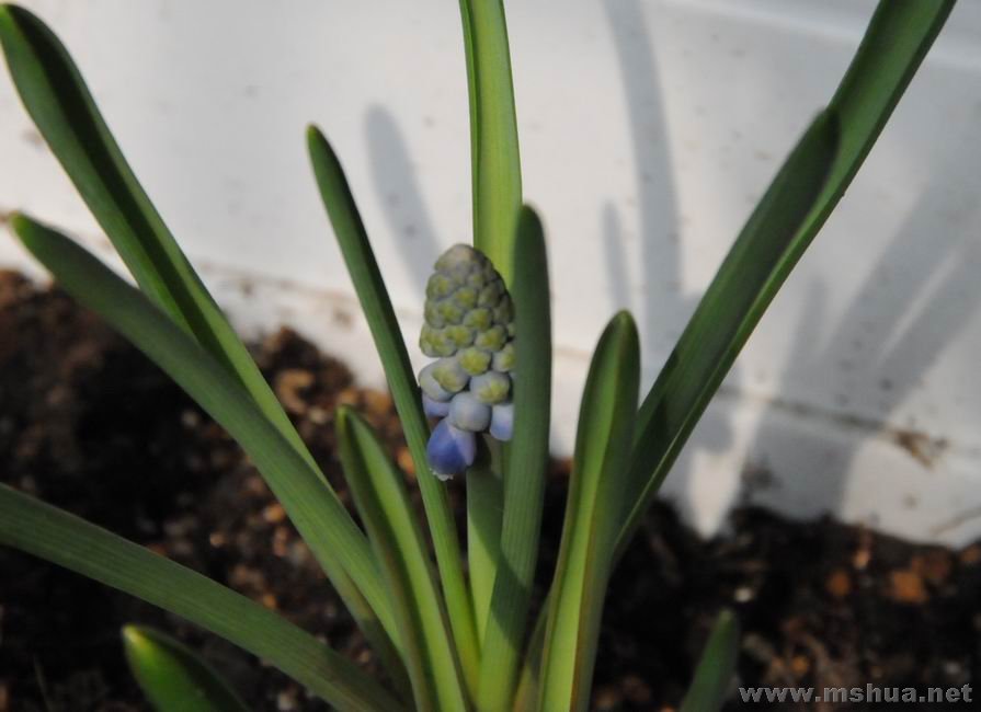 ������С lpt0223-3.jpg