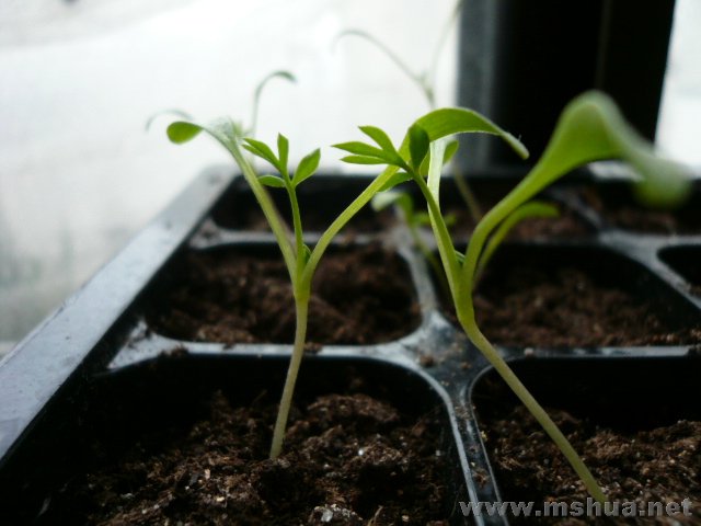 ܷܷ���ƣ�����˭�ģ���һ�����еĽ���10��Ŷ