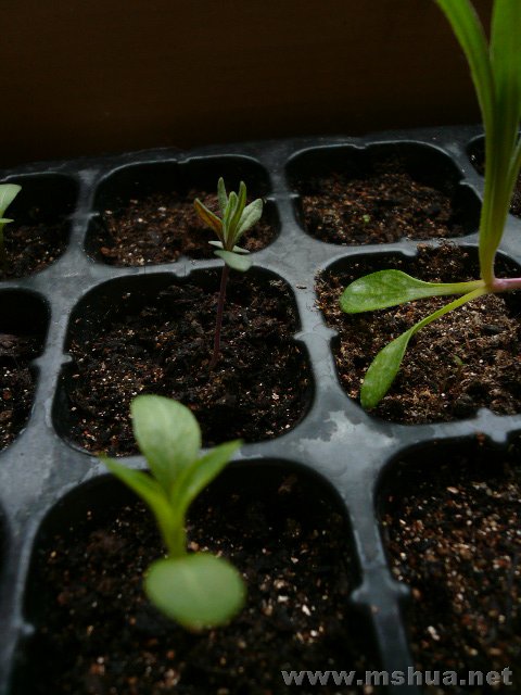 �м���Ǹ�����һҳ����޹�������Ļ���ôС