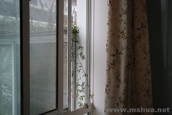 �����ľ��