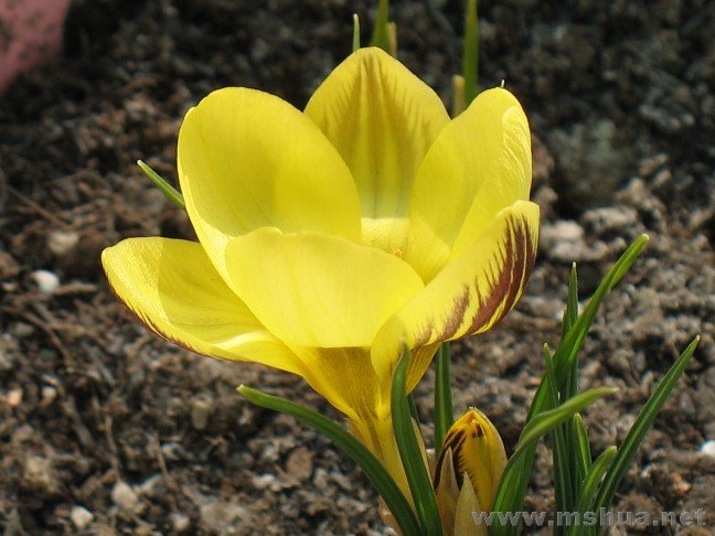 ��2����ɫ��