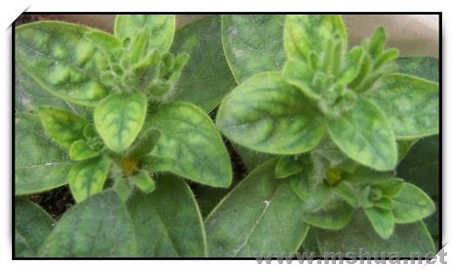 ��ò����ף��Ѿ��л������ˣ�