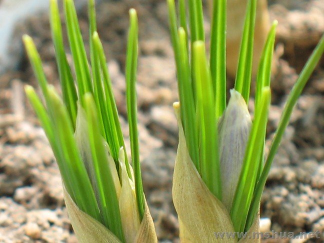 �����ϣ��