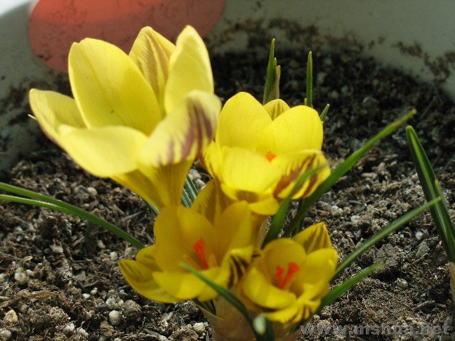 һ������