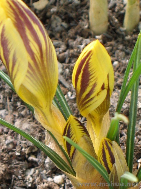 ��3�������