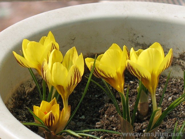 һ���еĵ�2��