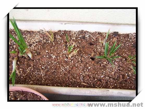 ��һ��������ѣ��Ѿ�����һ�飬ʣ�µ��׶༪�٣�