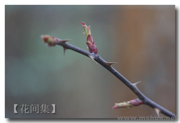 IMG_6931 ����.jpg